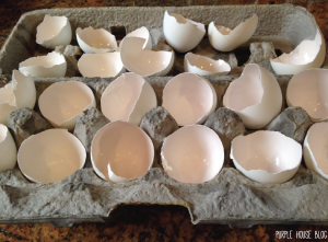 Painted Egg Planters-05